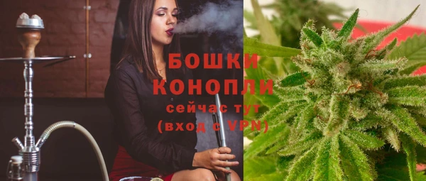 a pvp Аркадак