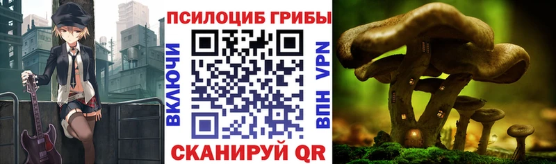 Псилоцибиновые грибы GOLDEN TEACHER Дюртюли