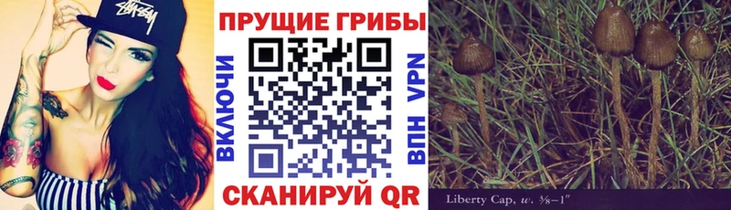 Псилоцибиновые грибы мицелий  Дюртюли 